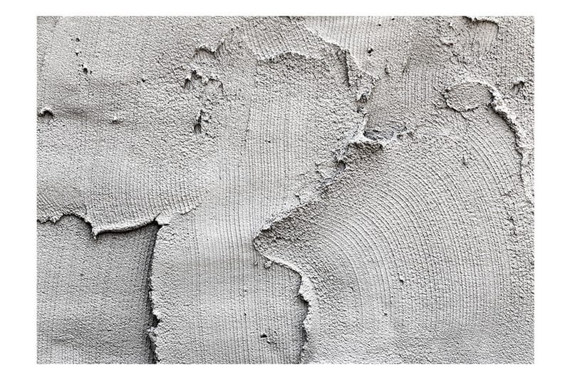 Fototapet Concrete Nothingness 350x245, Artgeist sp. z o. o.