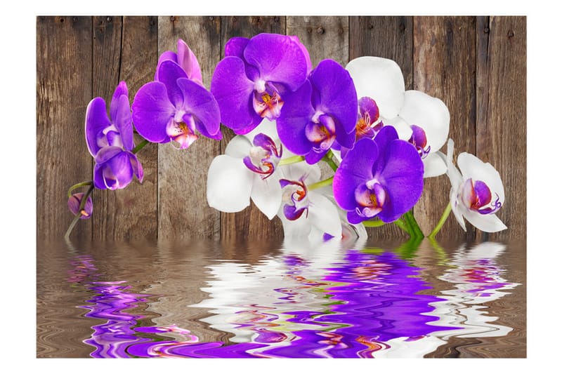 Fototapet Connection 200x140 - Artgeist sp. z o. o. - Inredning - Väggdekor - Tapet & tapettillbehör - Fototapet