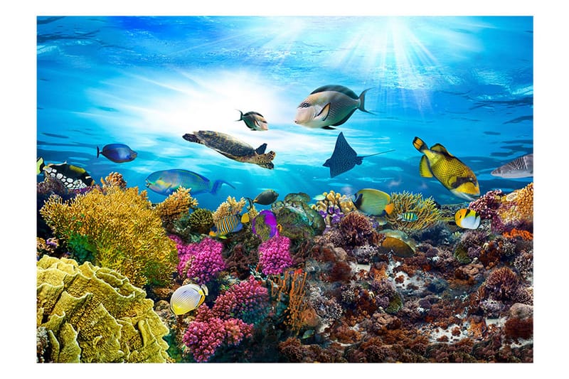 Fototapet Coral Reef 150x105 - Artgeist sp. z o. o. - Inredning - Väggdekor - Tapet & tapettillbehör - Fototapet