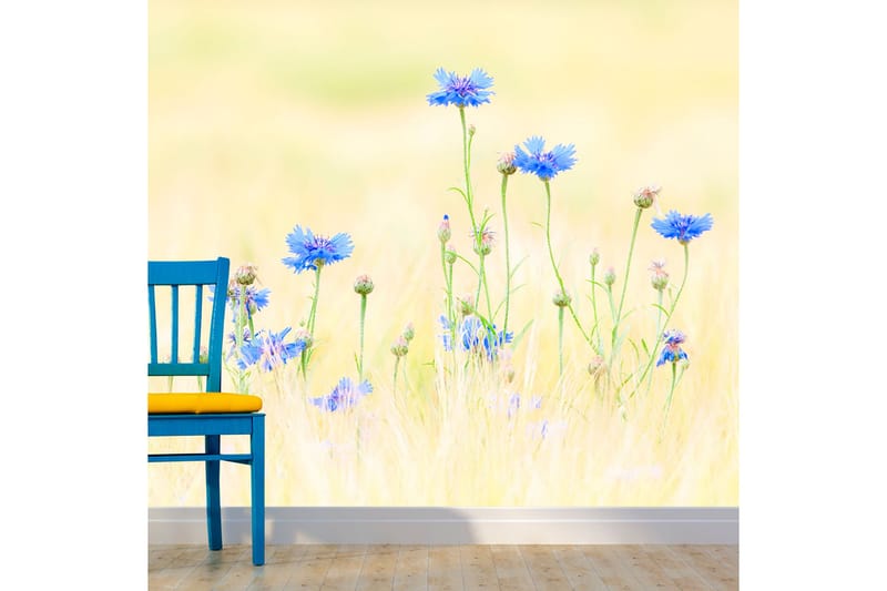 Fototapet Cornflowers 350x270 - Artgeist sp. z o. o. - Inredning - Väggdekor - Tapet & tapettillbehör - Fototapet