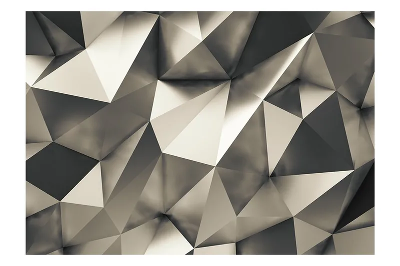 Fototapet Cosmic Silver 100x70 - Artgeist sp. z o. o. - Inredning - Väggdekor - Tapet & tapettillbehör - Fototapet