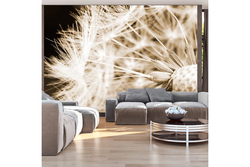 Fototapet Dandelion Sepia 150x105 - Artgeist sp. z o. o. - Inredning - Väggdekor - Tapet & tapettillbehör - Fototapet