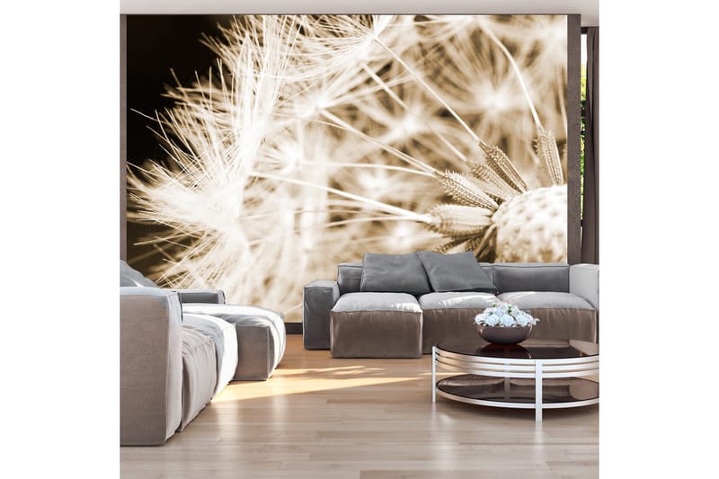 Fototapet Dandelion Sepia 250x175, Artgeist sp. z o. o.