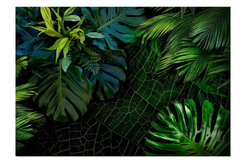 Fototapet Dark Jungle 100x70, Artgeist sp. z o. o.