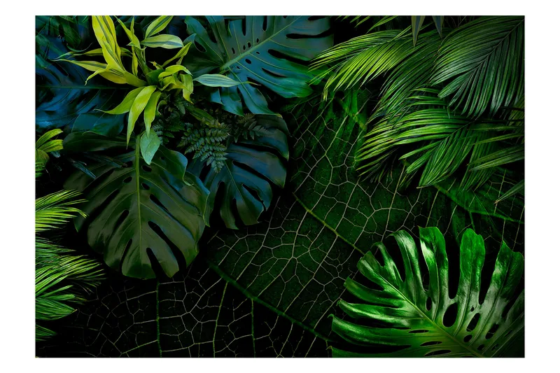 Fototapet Dark Jungle 350x245, Artgeist sp. z o. o.