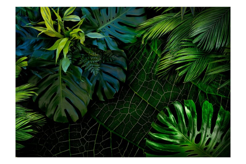 Fototapet Dark Jungle 400x280 - Artgeist sp. z o. o. - Inredning - Väggdekor - Tapet & tapettillbehör - Fototapet