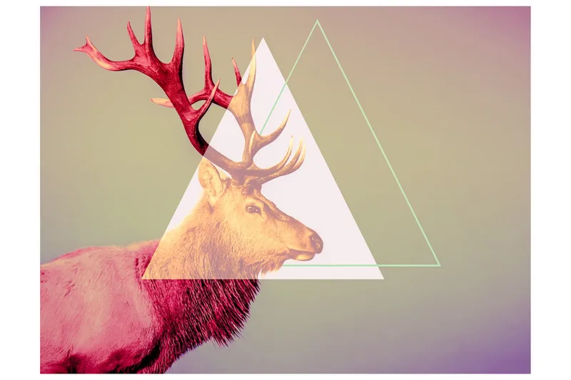 Fototapet Deer Graphic Pattern 250x193 - Artgeist sp. z o. o. - Inredning - Väggdekor - Tapet & tapettillbehör - Fototapet