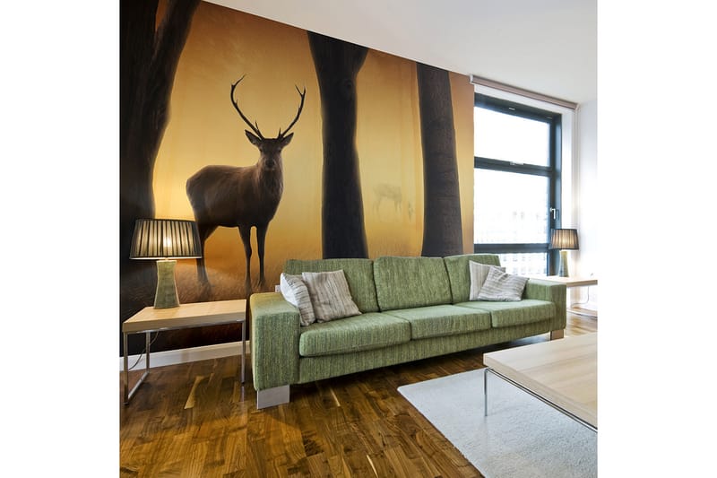 Fototapet Deer In His Natural Habitat 300x231 - Artgeist sp. z o. o. - Inredning - Väggdekor - Tapet & tapettillbehör - Fototapet