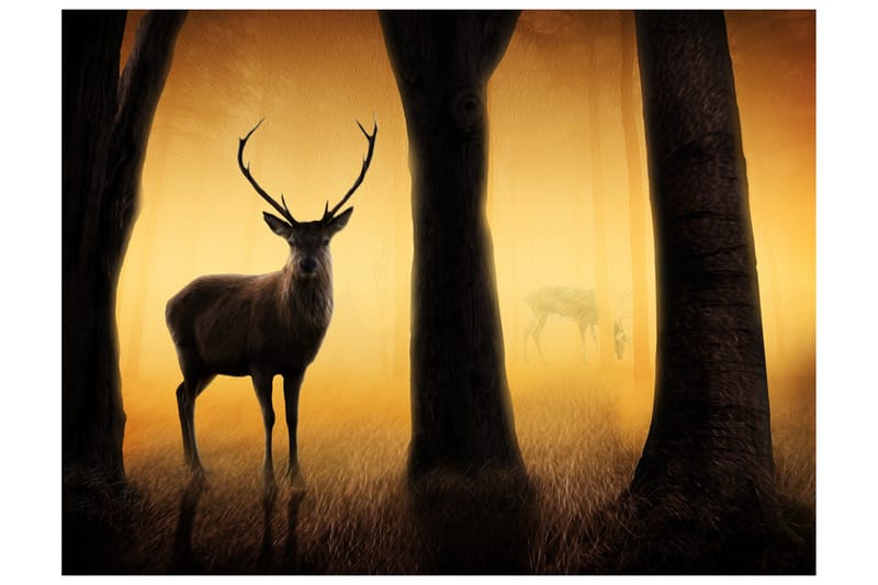 Fototapet Deer In His Natural Habitat 300x231 - Artgeist sp. z o. o. - Inredning - Väggdekor - Tapet & tapettillbehör - Fototapet