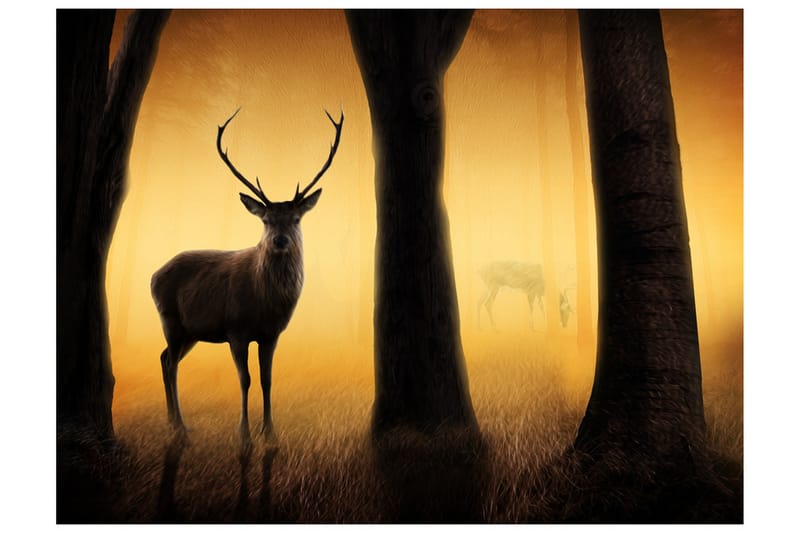 Fototapet Deer In His Natural Habitat 300x231 - Artgeist sp. z o. o. - Inredning - Väggdekor - Tapet & tapettillbehör - Fototapet