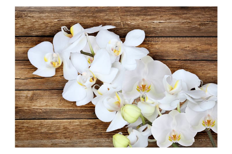 Fototapet Delicacy On Wood 400x280 - Artgeist sp. z o. o. - Inredning - Väggdekor - Tapet & tapettillbehör - Fototapet