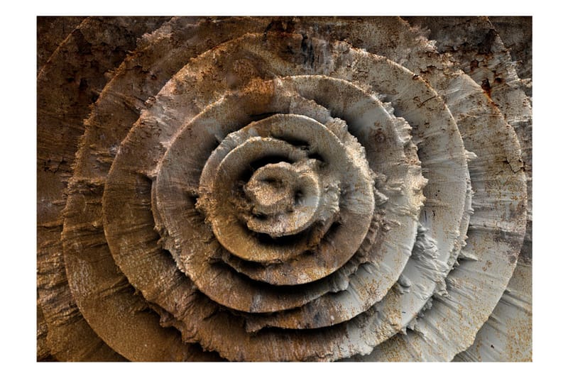 Fototapet Desert Rose 150x105 - Artgeist sp. z o. o. - Inredning - Väggdekor - Tapet & tapettillbehör - Fototapet