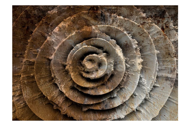 Fototapet Desert Rose 150x105 - Artgeist sp. z o. o. - Inredning - Väggdekor - Tapet & tapettillbehör - Fototapet