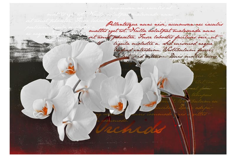 Fototapet Diary And Orchid 400x280 - Artgeist sp. z o. o. - Inredning - Väggdekor - Tapet & tapettillbehör - Fototapet