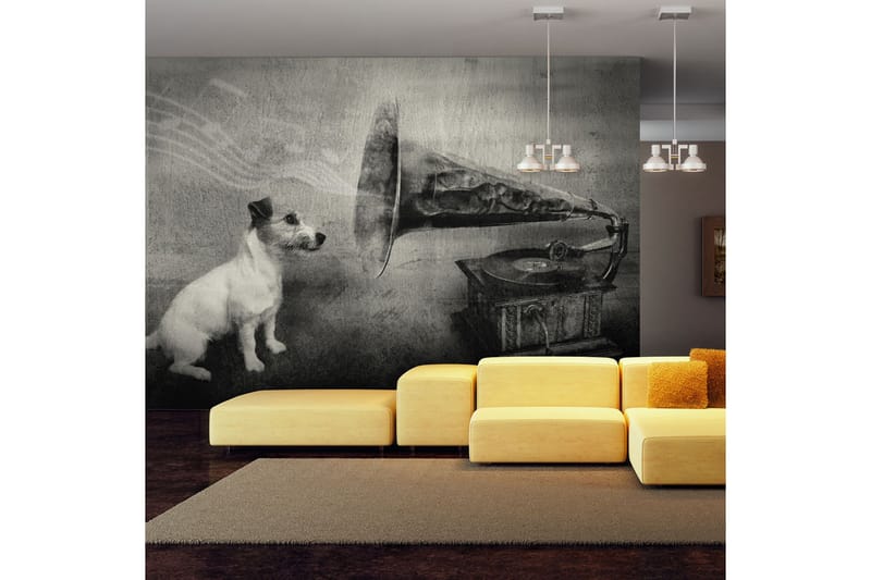 Fototapet Dog's Melodies 300x231 - Artgeist sp. z o. o. - Inredning - Väggdekor - Tapet & tapettillbehör - Fototapet