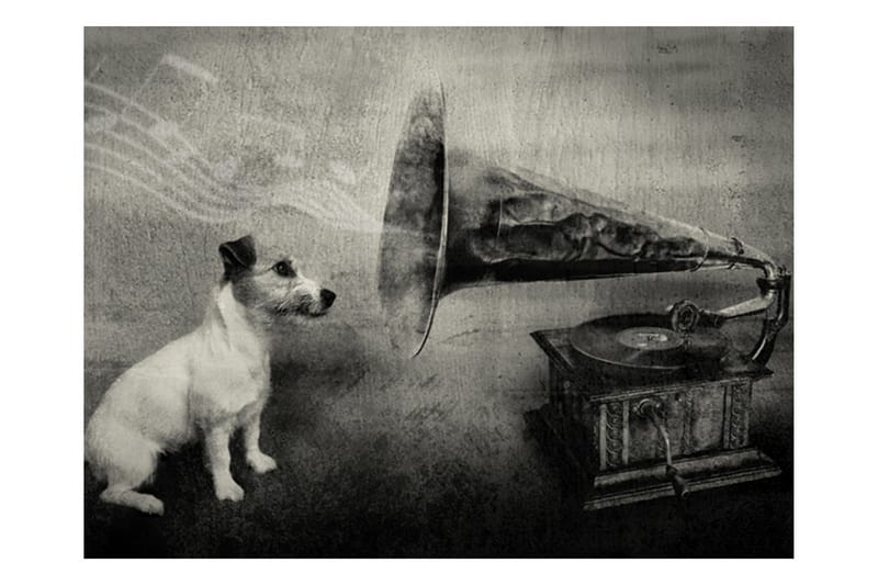 Fototapet Dog's Melodies 400x309 - Artgeist sp. z o. o. - Inredning - Väggdekor - Tapet & tapettillbehör - Fototapet