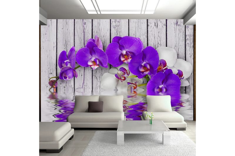 Fototapet Dormant Instincts 400x280, Artgeist sp. z o. o.