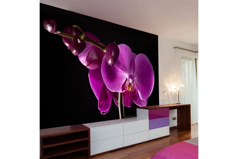 Fototapet Elegant Orchids 250x193, Artgeist sp. z o. o.