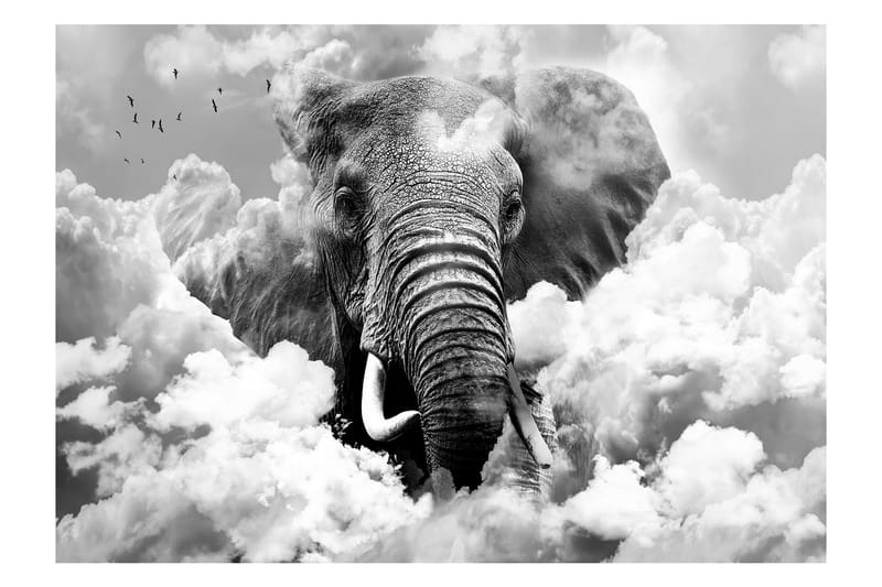 Fototapet Elephant In The Clouds Black And White 100x70 - Artgeist sp. z o. o. - Fototapet