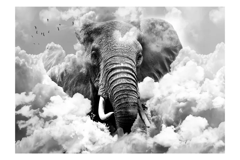 Fototapet Elephant In The Clouds Black And White 300x210, Artgeist sp. z o. o.
