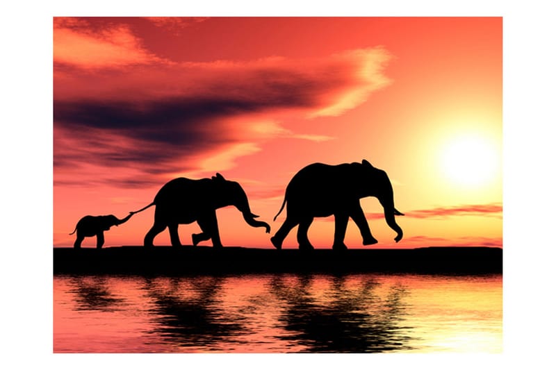 Fototapet Elephants Family 250x193 - Artgeist sp. z o. o. - Inredning - Väggdekor - Tapet & tapettillbehör - Fototapet