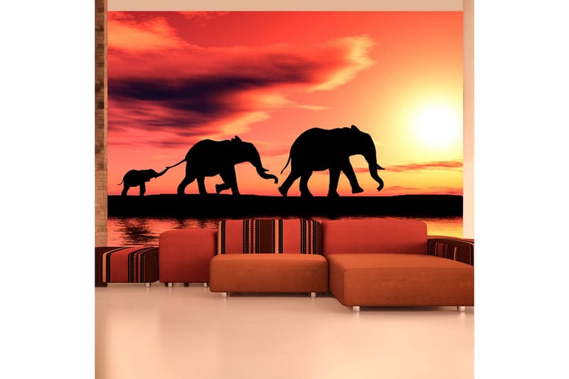 Fototapet Elephants Family 350x270, Artgeist sp. z o. o.