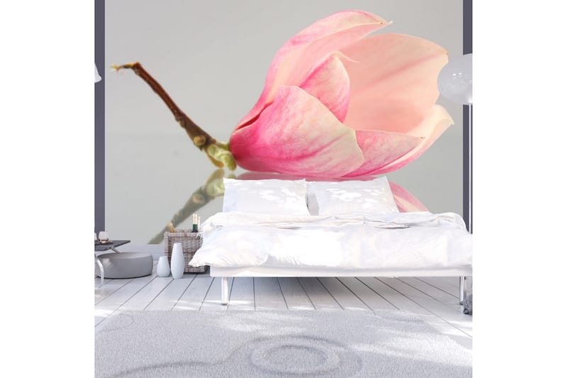 Fototapet En Ensam Magnolia Blomma 200x154, Artgeist sp. z o. o.