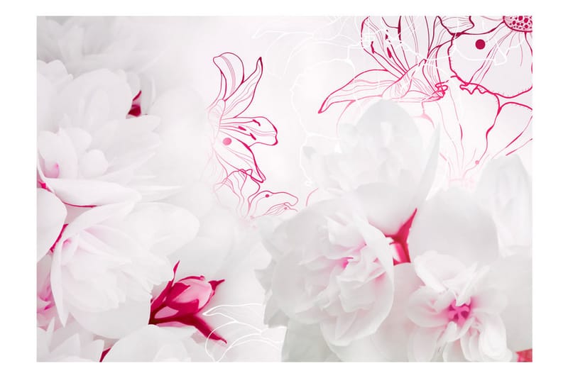 Fototapet Enveloped In White 350x245 - Artgeist sp. z o. o. - Inredning - Väggdekor - Tapet & tapettillbehör - Fototapet