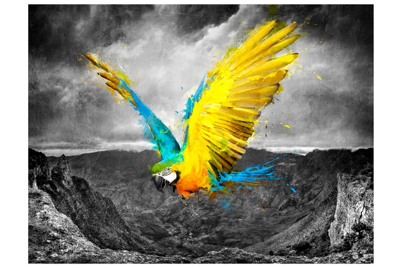 Fototapet Exotic Parrot 300x231 - Artgeist sp. z o. o. - Inredning - Väggdekor - Tapet & tapettillbehör - Fototapet
