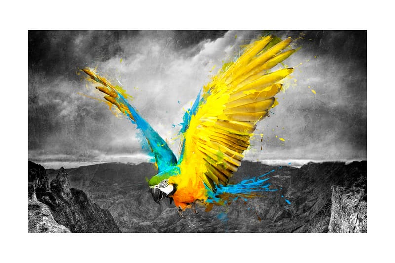 Fototapet Exotic Parrot 450x270 - Artgeist sp. z o. o. - Inredning - Väggdekor - Tapet & tapettillbehör - Fototapet