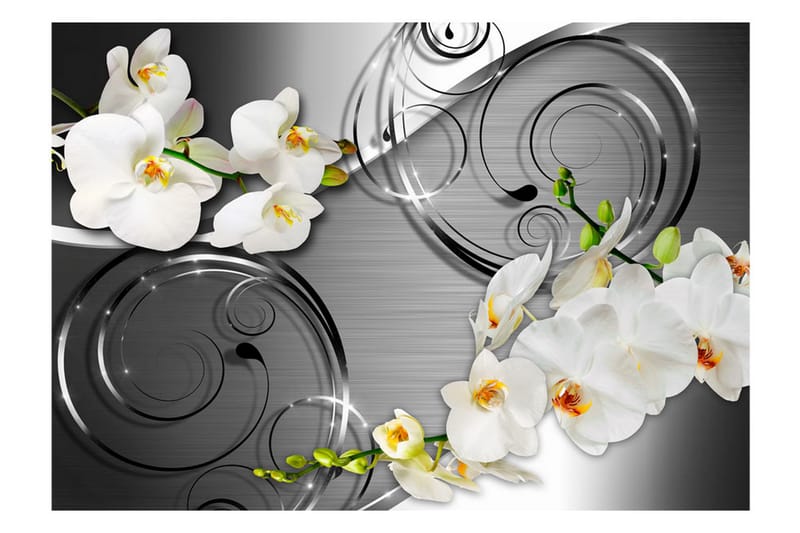 Fototapet Expectation 400x280 - Artgeist sp. z o. o. - Inredning - Väggdekor - Tapet & tapettillbehör - Fototapet
