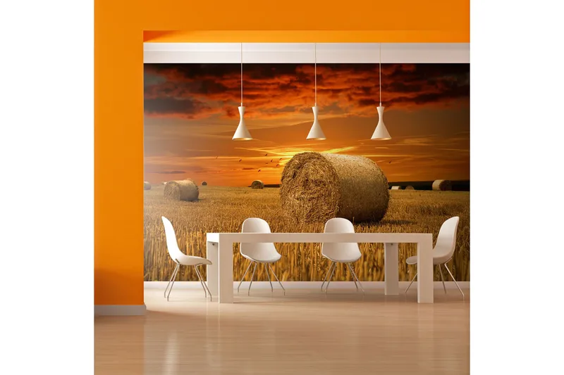 Fototapet Fält Av Guld 200x154 - Artgeist sp. z o. o. - Inredning - Väggdekor - Tapet & tapettillbehör - Fototapet