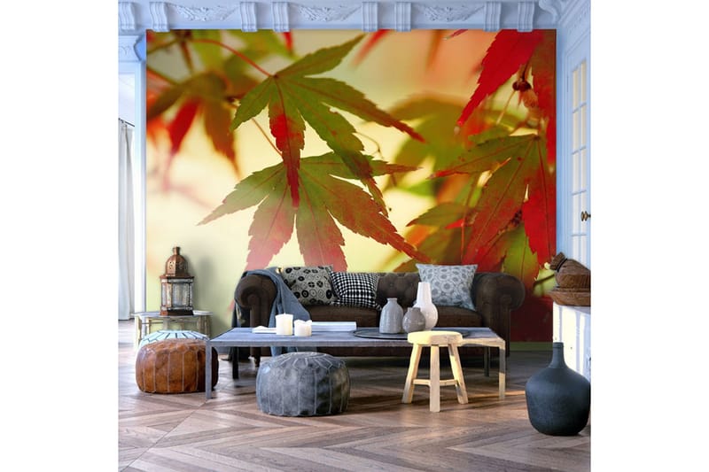 Fototapet Färgglada Blad 200x154 - Artgeist sp. z o. o. - Inredning - Väggdekor - Tapet & tapettillbehör - Fototapet