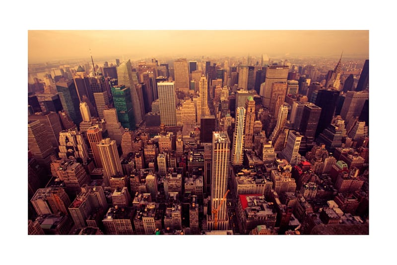 Fototapet Fågeln Beskådar Manhattan New York 450x270 - Artgeist sp. z o. o. - Inredning - Väggdekor - Tapet & tapettillbehör - Fototapet