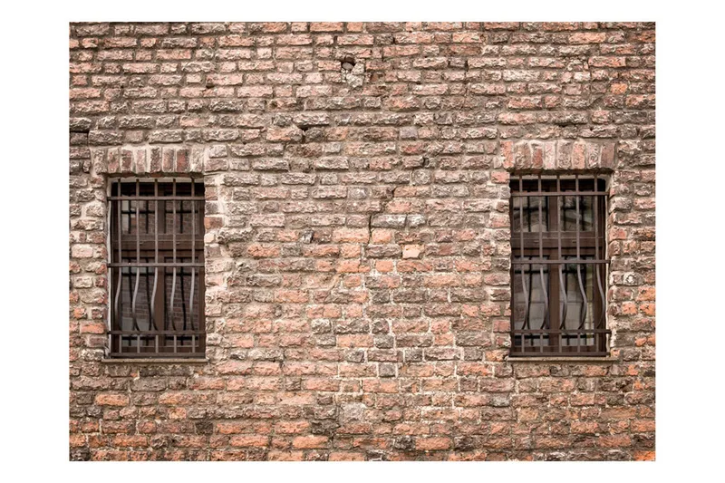 Fototapet Fångad Verkligheten 200x154, Artgeist sp. z o. o.