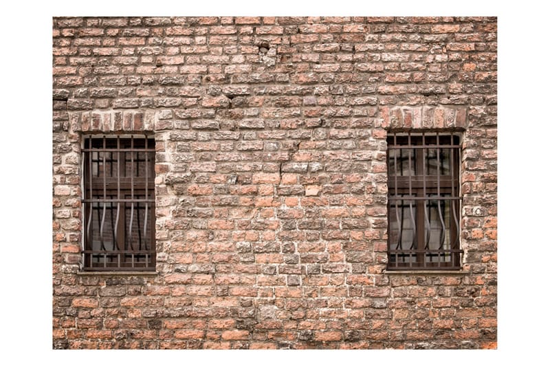 Fototapet Fångad Verkligheten 200x154, Artgeist sp. z o. o.