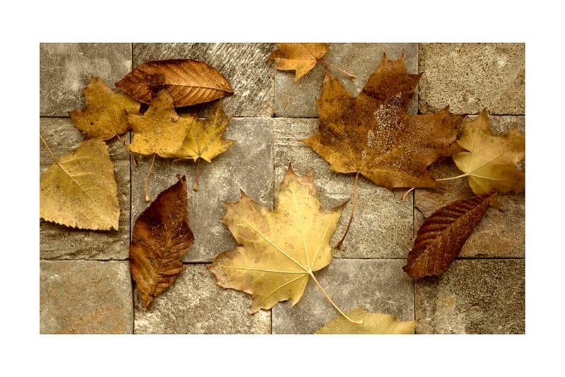 Fototapet Förebud Om Hösten 450x270 - Artgeist sp. z o. o. - Inredning - Väggdekor - Tapet & tapettillbehör - Fototapet