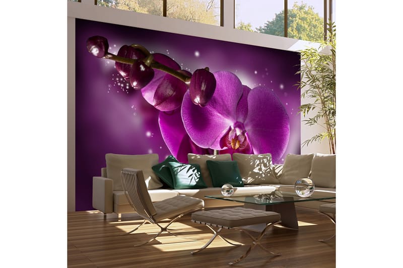 Fototapet Fairy Tale And Orchid 450x270 - Artgeist sp. z o. o. - Inredning - Väggdekor - Tapet & tapettillbehör - Fototapet