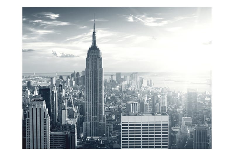 Fototapet Fantastisk Vy Till New York Manhattan 300x231 - Artgeist sp. z o. o. - Inredning - Väggdekor - Tapet & tapettillbehör - Fototapet