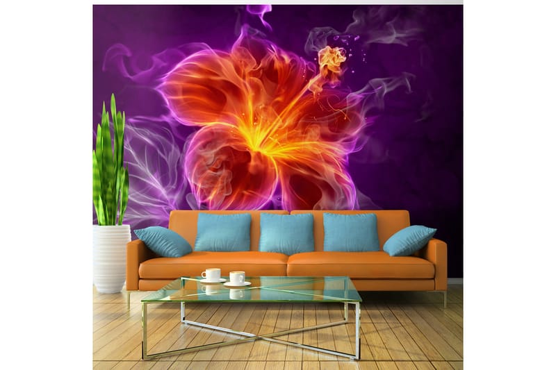 Fototapet Fiery Flower In Purple 100x70 - Artgeist sp. z o. o. - Fototapet
