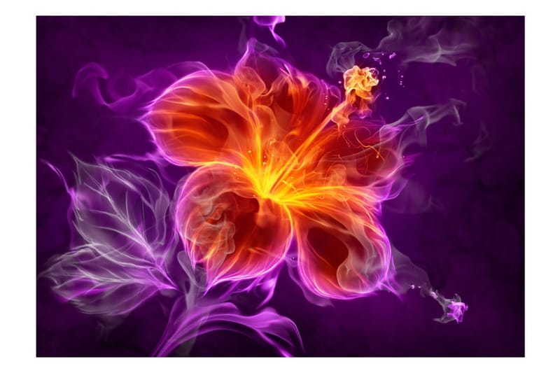 Fototapet Fiery Flower In Purple 100x70 - Artgeist sp. z o. o. - Fototapet
