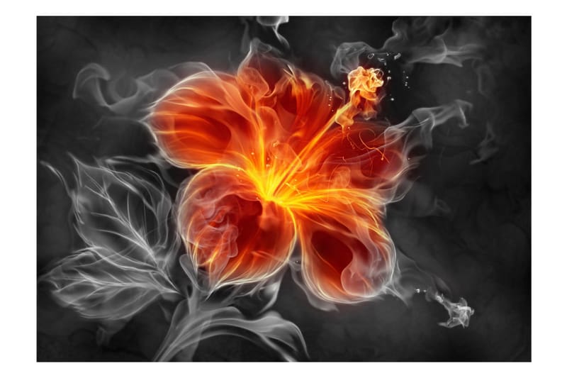 Fototapet Fiery Flower Inside The Smoke 100x70 - Artgeist sp. z o. o. - Fototapet