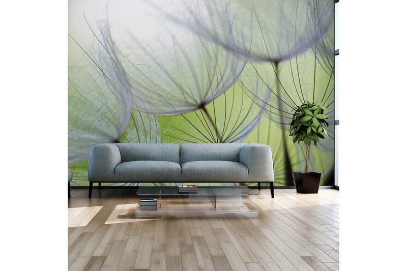 Fototapet Fleeting Moments 200x140, Artgeist sp. z o. o.