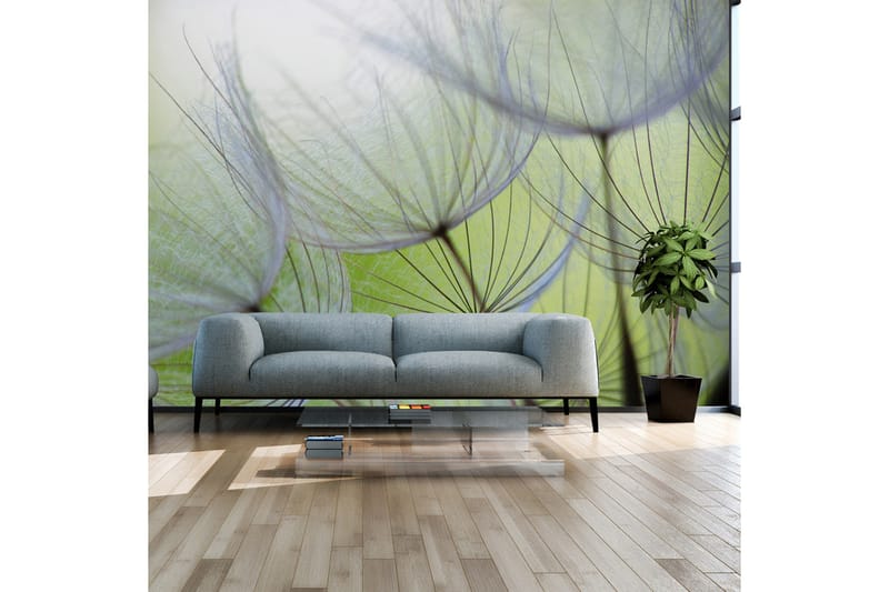 Fototapet Fleeting Moments 350x245, Artgeist sp. z o. o.