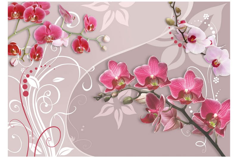 Fototapet Flight Of Pink Orchids 250x175 - Artgeist sp. z o. o. - Fototapet