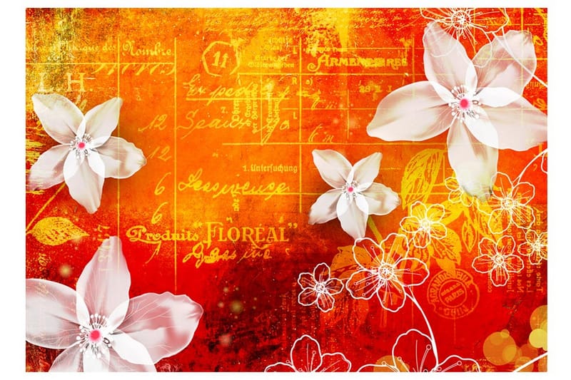 Fototapet Floral Notes II 350x245 - Artgeist sp. z o. o. - Inredning - Väggdekor - Tapet & tapettillbehör - Fototapet