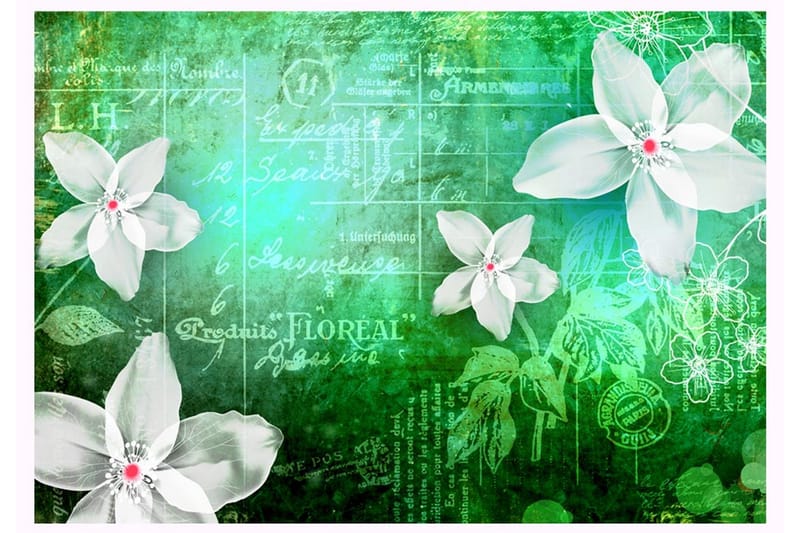 Fototapet Floral Notes III 200x140 - Artgeist sp. z o. o. - Inredning - Väggdekor - Tapet & tapettillbehör - Fototapet