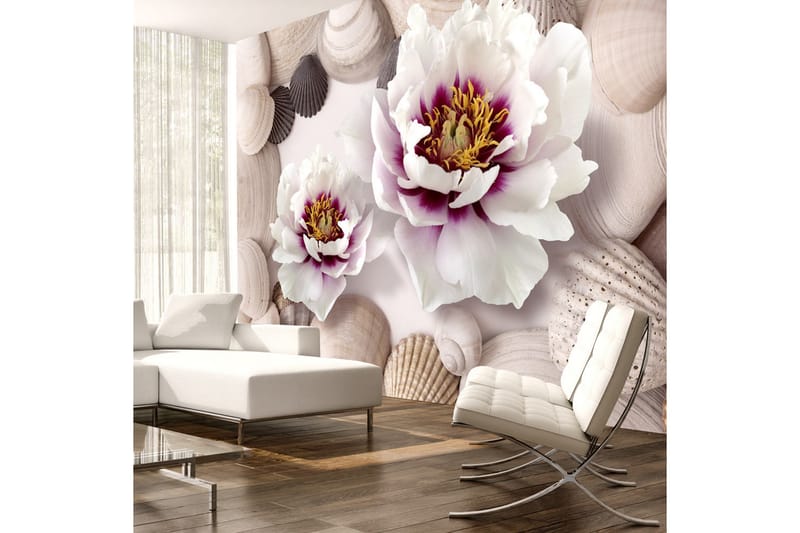 Fototapet Flowers And Shells 400x280, Artgeist sp. z o. o.