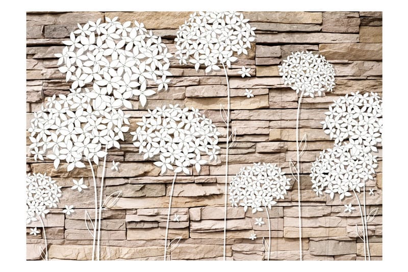 Fototapet Flowers On The Stone 300x210 - Artgeist sp. z o. o. - Inredning - Väggdekor - Tapet & tapettillbehör - Fototapet