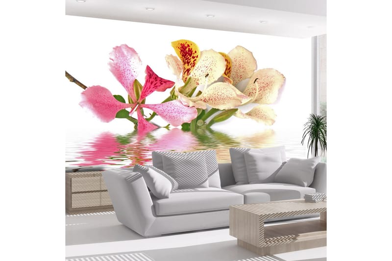 Fototapet Flowers Orchid Tree Bauhinia 300x231 - Artgeist sp. z o. o. - Inredning - Väggdekor - Tapet & tapettillbehör - Fototapet
